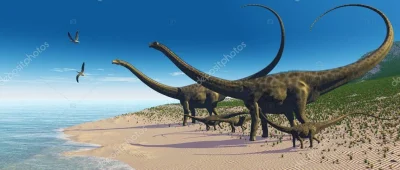 sxldsxxl - Tak naprawdę wystarczy przyjrzeć się temu, w jaki sposób diplodocus układa...