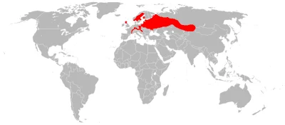 SzycheU - @Azerbejdzanski: mapa występowania