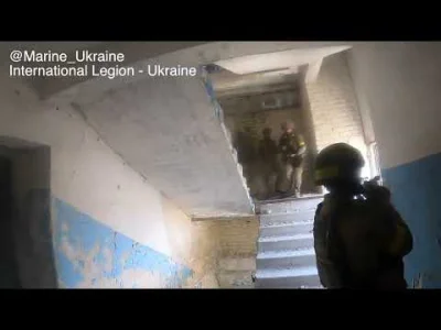 wigr - Międzynarodowy Legion Obrony Terytorialnej i inne ukraińskie jednostki podczas...