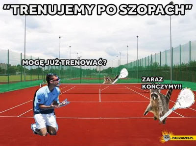 witulo - Widzisz Janowicz, on też trenował po szopach i osiągnął sukces