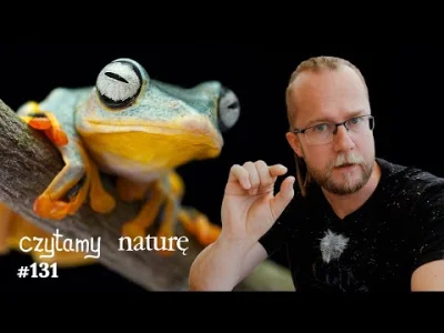 LukaszLamza - Na glonowej tratwie - Termometr nano - Dlaczego żabki kiepsko skaczą? |...