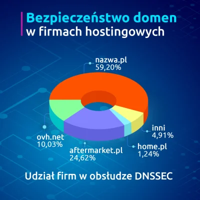 nazwapl - Bezpieczeństwo domen w polskich firmach hostingowych

Cyberataki na serwe...