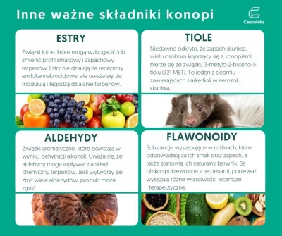 cannateka_pl - Choć terpeny mają zasadnicze znaczenie dla smaku i aromatu odmian kono...