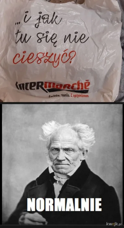 goferek - #schopenhauer