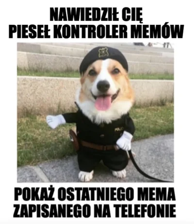 4pietrowydrapaczchmur - Nawiedził cię piesek kontroler #memy 
Ino mig przetrzepuj fo...