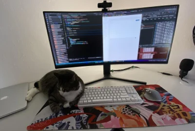 malamute - Wy też macie koleżkę do kodowania? ( ͡° ͜ʖ ͡°) #koty #kot #pokazkota #kitk...