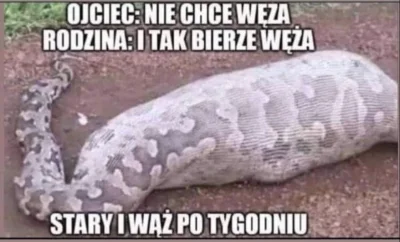 ZjemCinos