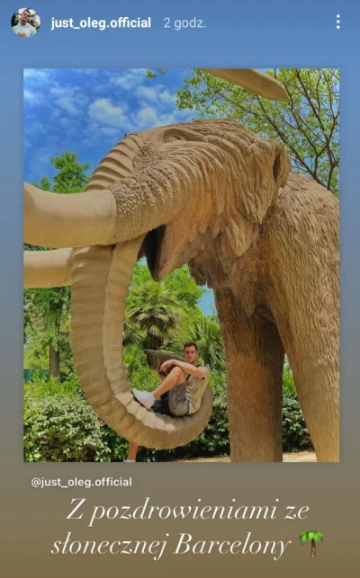 MarcelinaM85 - @pokusof Właśnie przechodzi w Hiszpanii szkolenie z obsługi słoni bojo...