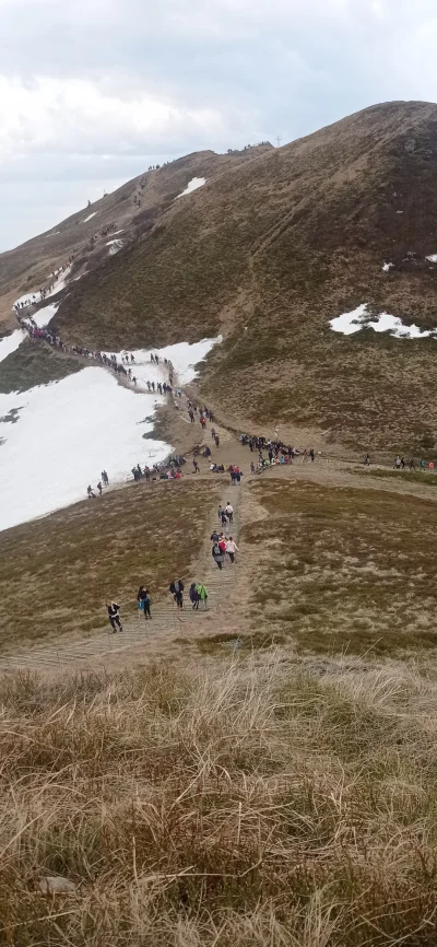 H.....9 - Maj tego roku, Bieszczady, tarnica. Najbardziej znane szczyty zawsze są tak...