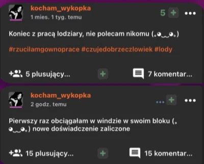 Jamniki2 - Człowiek z pracy odejdzie ale jeśli kochał to co robił, to zawsze będzie t...