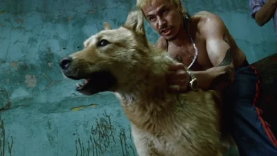 Logytaze - Jaki poje*any, ale wspaniały film (Amores perros, jest na HBO). Sceny z ps...