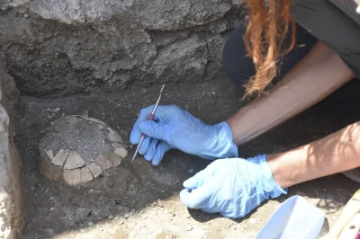 IMPERIUMROMANUM - W Pompejach odkryto pozostałości po żółwiu

W Pompejach dokonano ...