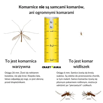 czykoniemnieslysza - Nie zabijamy komarnic!
#przyroda