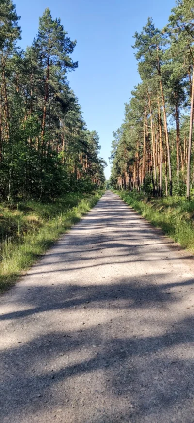 Talarkowy - @Talarkowy: muszę wrócić do Kozienickiego Parku Krajobrazowego, bo widzę ...