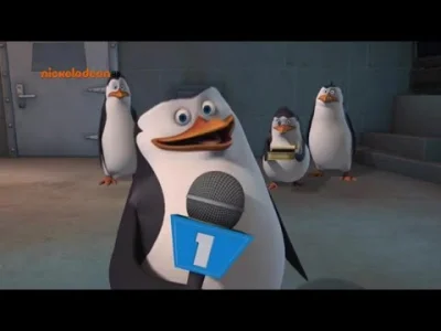 cielak44 - #maxkolonko #pingwinyzmadagaskaru