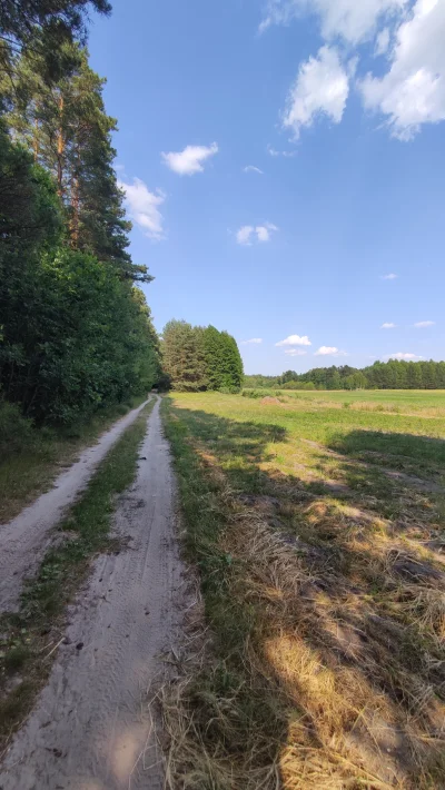 ToKontoNieIstnieje - Na popołudniowy spacer wybrałem się dzisiaj z dala od miasta. Sa...