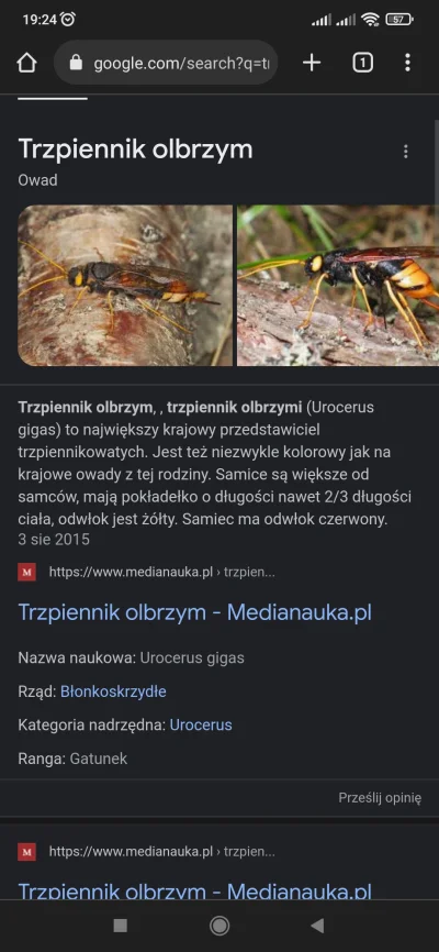 inka87 - @malypajak: To znalazł obiektyw: