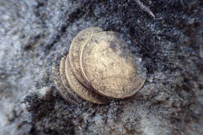 Zwiadowca_Historii - Złote monety, obrączka i nieśmiertelniki odkryte przy ekshumacji...