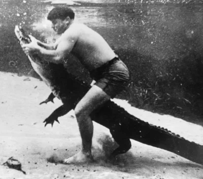 wfyokyga - Herpetolog Ross Allen bawi się z aligatorem, 1938.
#historia #herpetologia...