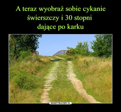 Renard15 - #heheszki 
#humorobrazkowy 
#swierszcze 
#lato 
#pogoda 
##!$%@?