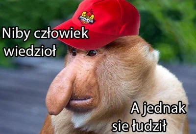 Kuciak - #zuzel
Już można?