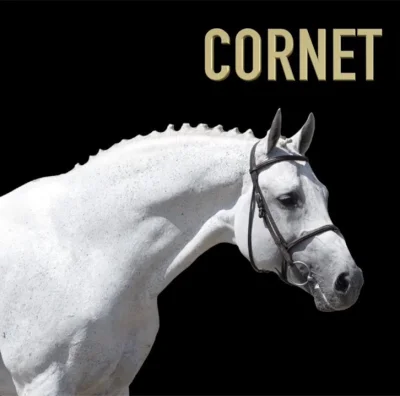 runcek - Iga słuchaj, Cornet to jakiś champion. No ale nie pozwól żeby jakiś koń Cię ...