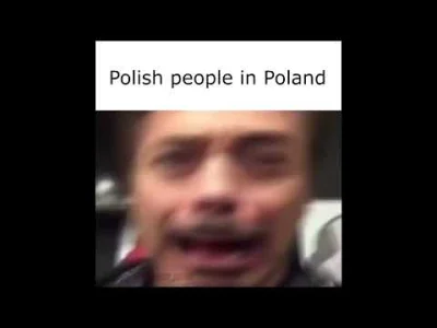 loczyn - Ktoś wrzucał Polish Slander taka kompilacja gifów z podpisami "typowa polska...