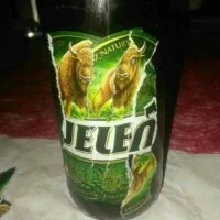 Szynszek - Najlepsze piwo Jeleń znów na polskich półkach, poprawia zdrowie kosztuje t...