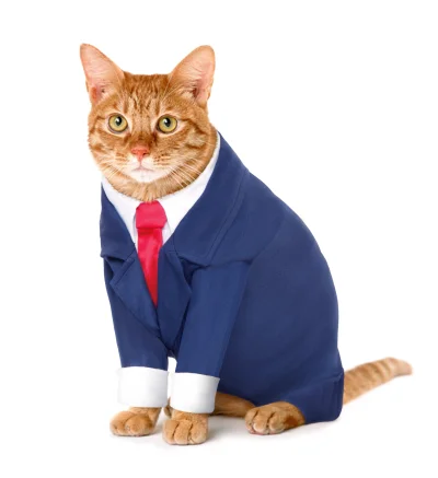 BatemanPatrick - łamię dress kot