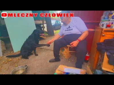 piSSowiec69 - "I nie mówcie, że Krzysztof nie lubi zwierząt bo Krzysztof lubi zwierzę...