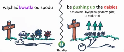 uczalka - #idiomyzuczalka 002/?
wąchać kwiatki od spodu
(to) be pushing up the dais...