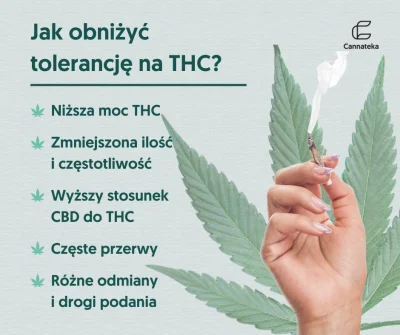 cannateka_pl - Jeśli jesteś osobą regularnie i często spożywającą konopie indyjskie, ...