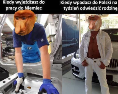 Lukardio - Najlepsza jest ta pycha Polaków jak przyjadą do Polandii z eurasami i zapo...