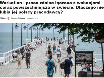 vauecki - Dlaczego januszexy nienawidzą workation i w ogole pracy zdalnej? Kto by pom...