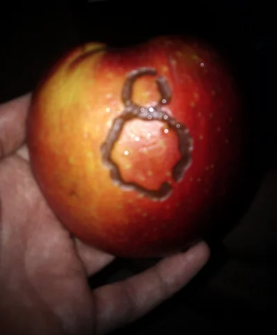 ilookoutside - kiedyś też miałem takie jabłko, myślałem, że ktoś to zrobił naumyślnie...