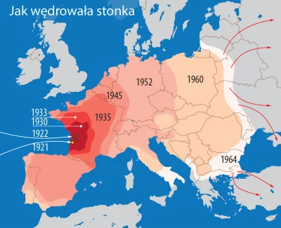 hahacz - Warto zauwazyc, ze kraje wyspiarskie do tej pory nie maja stonki: