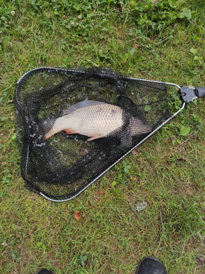 Rihter - Chłop cały dzień siedział nad wodą i złapał tylko jednego karpia 41cm. Śmiec...