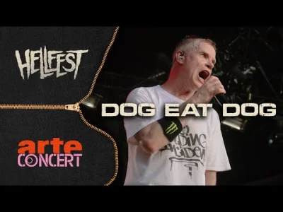 Zborro - Dog Eat Dog (｡◕‿‿◕｡) #hardcorepunk
