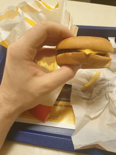 konciko - Co sie stalo z rozmiarem cheeseburgers w mcd glowe dam ze nie bylo takie ma...