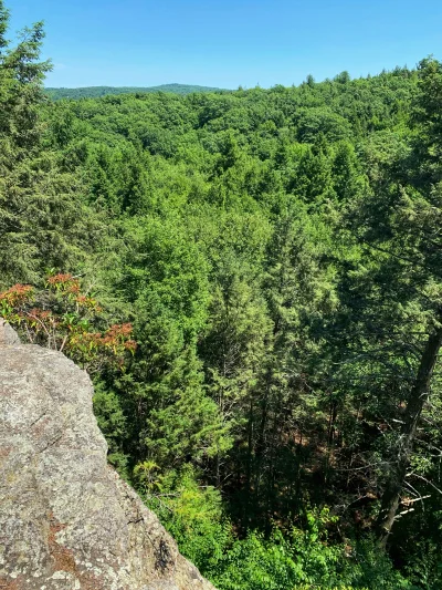 R2D2zSosnowca - Mattatuck State Forest, Watertown #connecticut 

#r2d2zwiedza #natura...