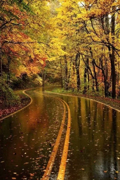 M.....y - Jesien to najlepsza pora roku. Uwielbiam ta nostalgie, kolory, deszcz. #jes...