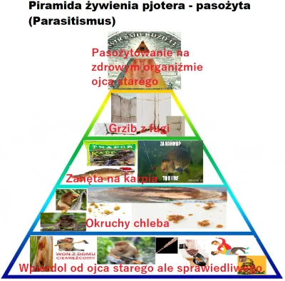 P.....1 - #konkursnanajbardziejgownianymemznosaczem #nosaczsundajski #sztukadlasprawi...