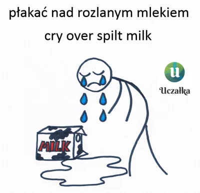 uczalka - #idiomyzuczalka 007/?
płakać nad rozlanym mlekiem
(to) cry over spilt mil...
