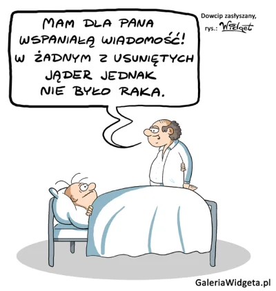 Galeria-Widgeta - Galeria Widgeta
#dowcip #rysuneksatyryczny #medycyna #szpital #lek...