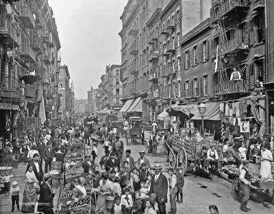 myrmekochoria - Nowy Jork, 1900.

#starszezwoje - blog ze starymi grafikami, miedzi...
