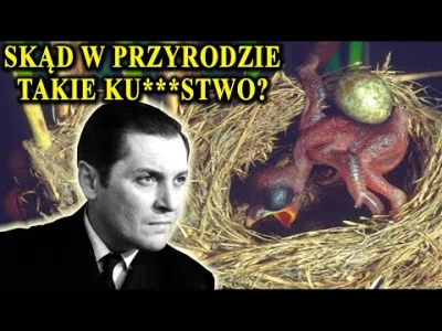 czosnkowy_wyziew - @przemoko90: Kukułka otwiera dziób i ukazuje czerwony kolor, który...