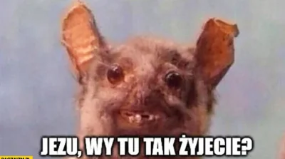 D.....r - Za każdym razem gdy wejdę chociaż na chwilę na stronę główną na Wykopie
#b...