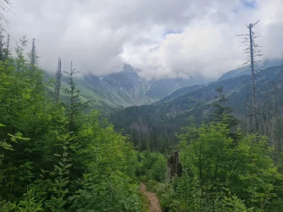 rudyba - Droga do Sedlo Zabrat i szczyty w chmurach