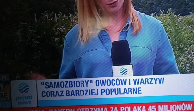 g.....a - Polacy, naród zbieracko łowiecki. #polska #polityka #kryzys #polsatnews