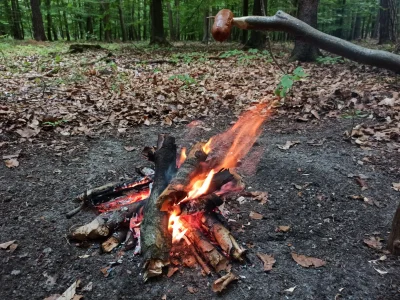 firmowyleser - @firmowyleser i kiełbaska też jest